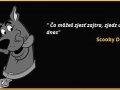 18057669_704955779710300_4953388263508547411_n.jpg